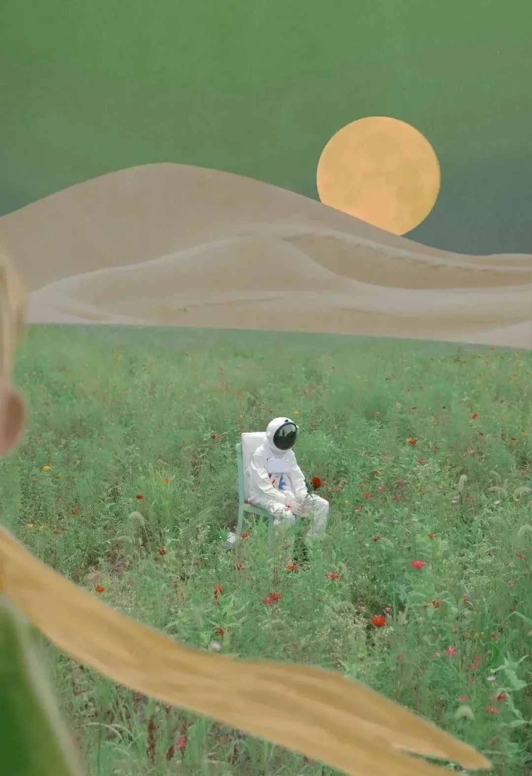 1644477943681338.jpg 微信圖片_31.jpg